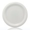 9" White Plastic Dinner Plates